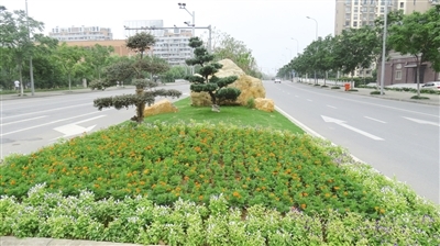 发展城市园林绿化 构建和谐美好家园--江北新闻网