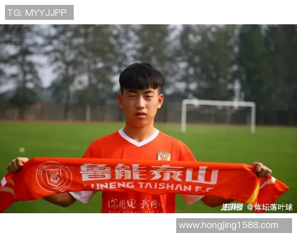 南京羽毛球队以75分稳居精英赛积分榜首位展现强劲实力