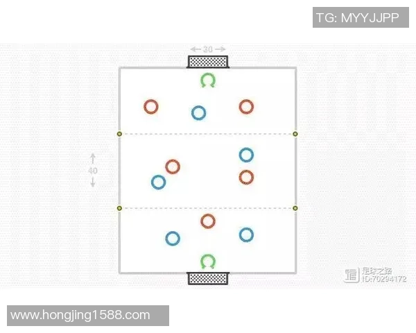 成都排球队整体压制打法解析与战术优势探讨